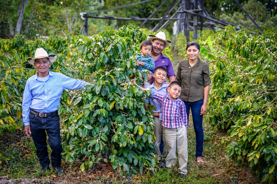 2010-2019 cambio de enfoque, Cambio Climático THRIVE familia capacitada para diversificar su producción y vender su producto sin intermediarios