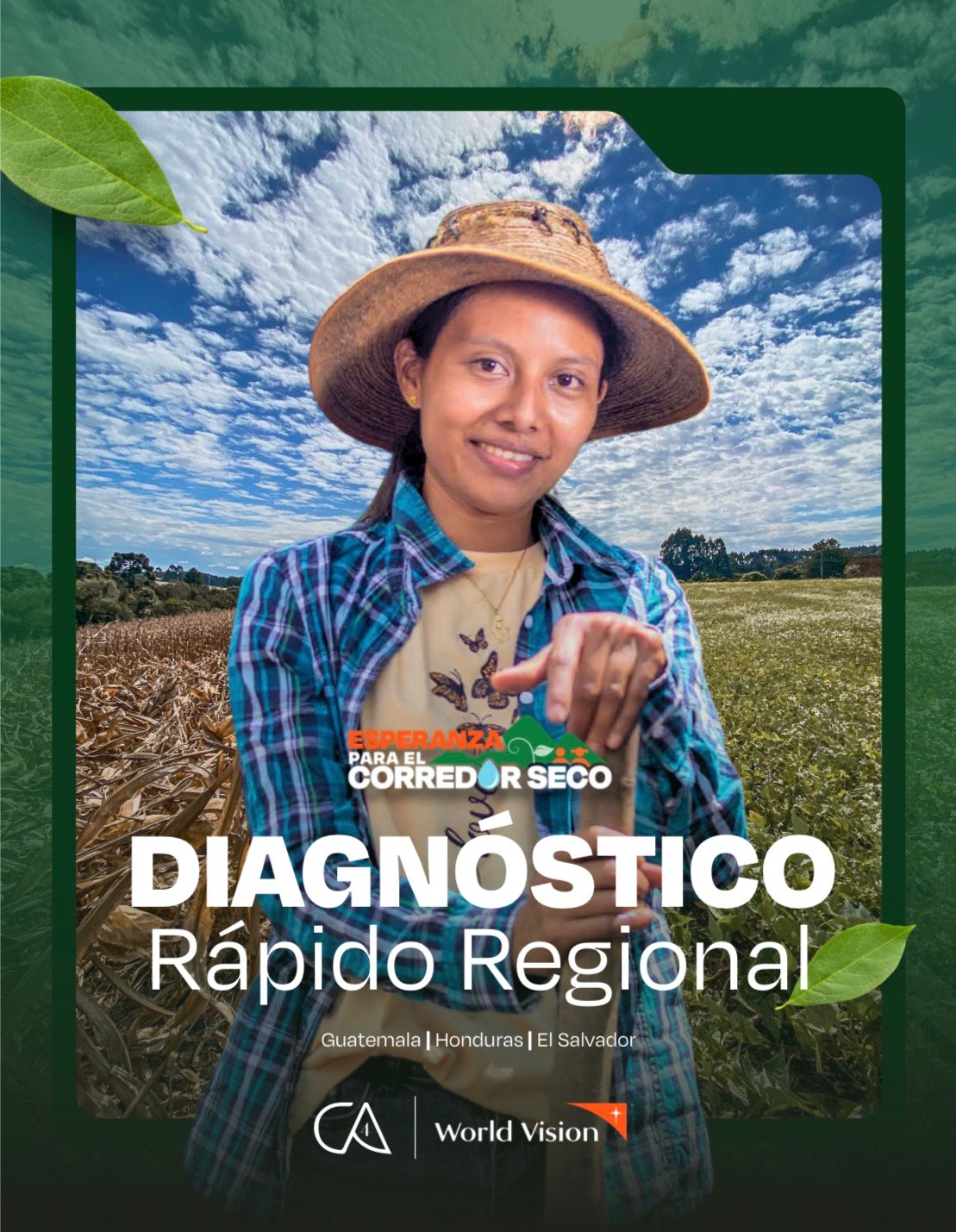 Diagnóstico Rápido Regional