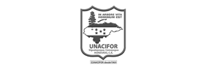 PT-ACC---Socios-Clave_Mesa-de-trabajo-1-copia-3