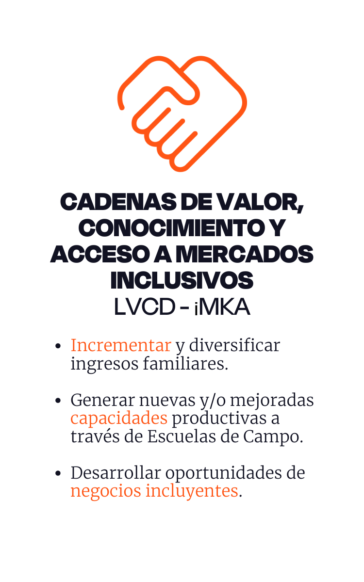 Copia de Historias Destacadas Elegante Accesorios Cafe Beige (500 x 800 px) (1)