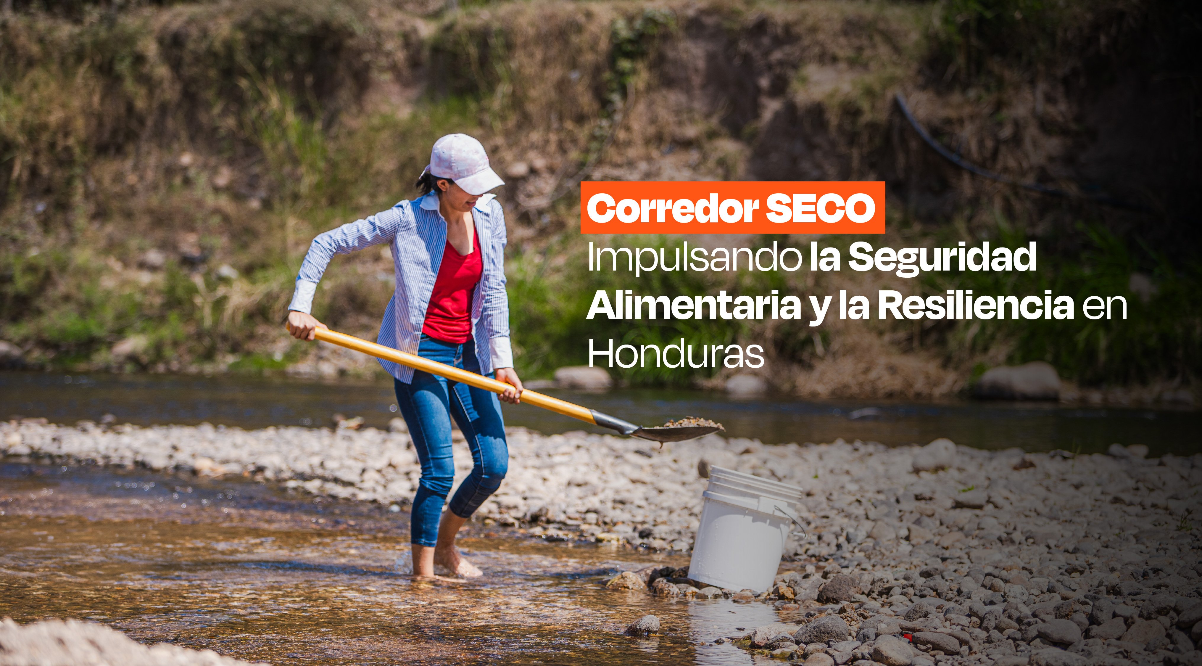 Corredor SECO: Impulsando la Seguridad Alimentaria y la Resiliencia en Honduras