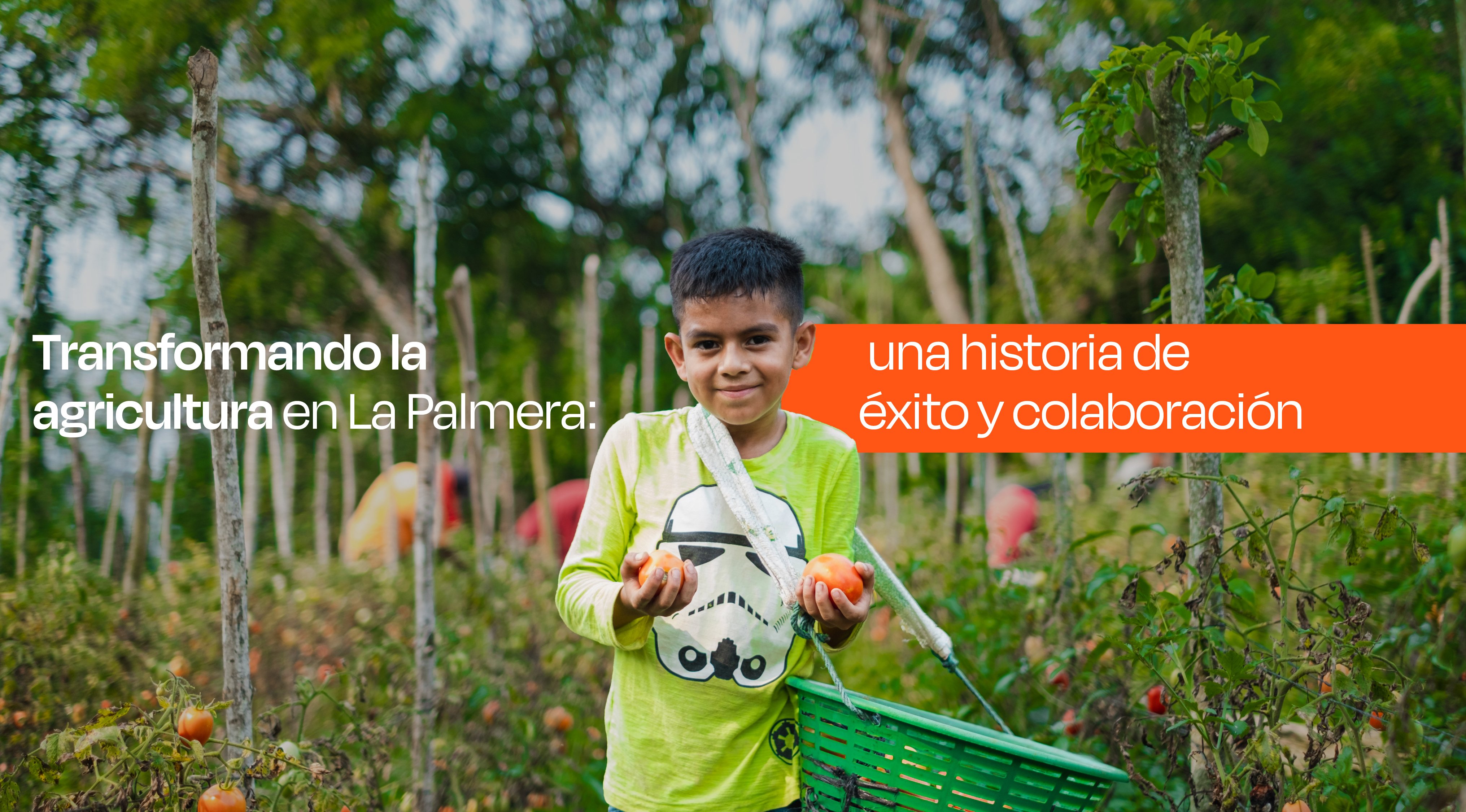 Transformando la agricultura en La Palmera: una historia de éxito y colaboración