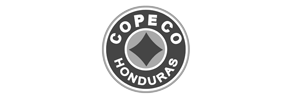 PT-ACC---Socios-Clave_Mesa-de-trabajo-1-copia-11
