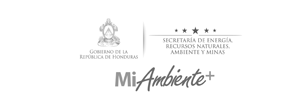 PT-ACC---Socios-Clave_Mesa-de-trabajo-1-copia-7
