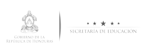 PT-ACC---Socios-Clave_Mesa-de-trabajo-1-copia