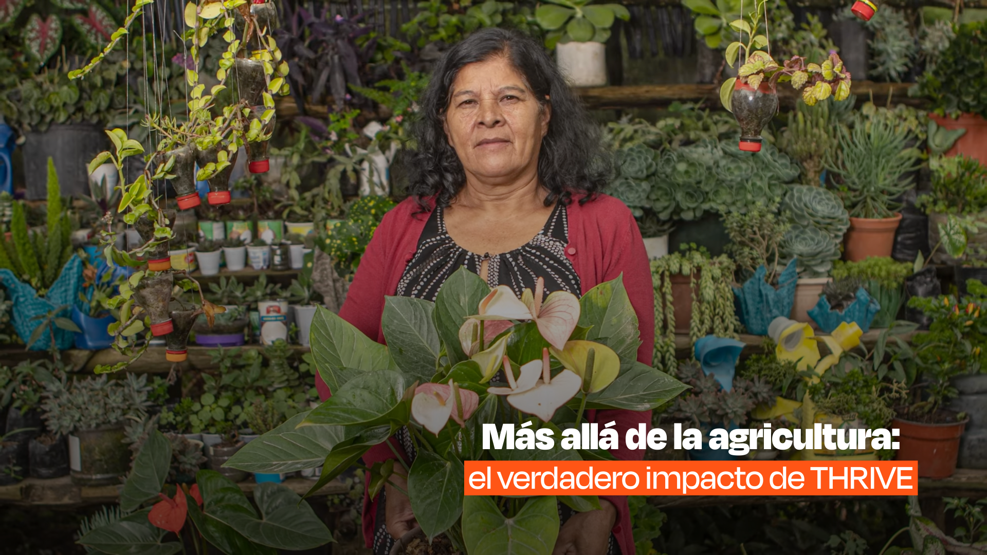 Más allá de la agricultura: el verdadero Impacto de THRIVE